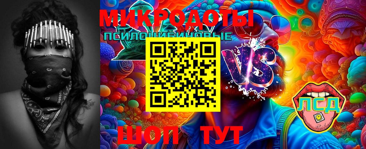 Магадан  Галлюциногенные грибы прущие грибы  Вход с VPN  Псилоцибиновые грибы ЛСД 